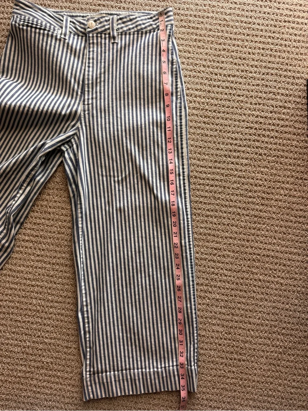 Madewell Navy and White Striped Cropped Wide-Leg Pants (size 29)
